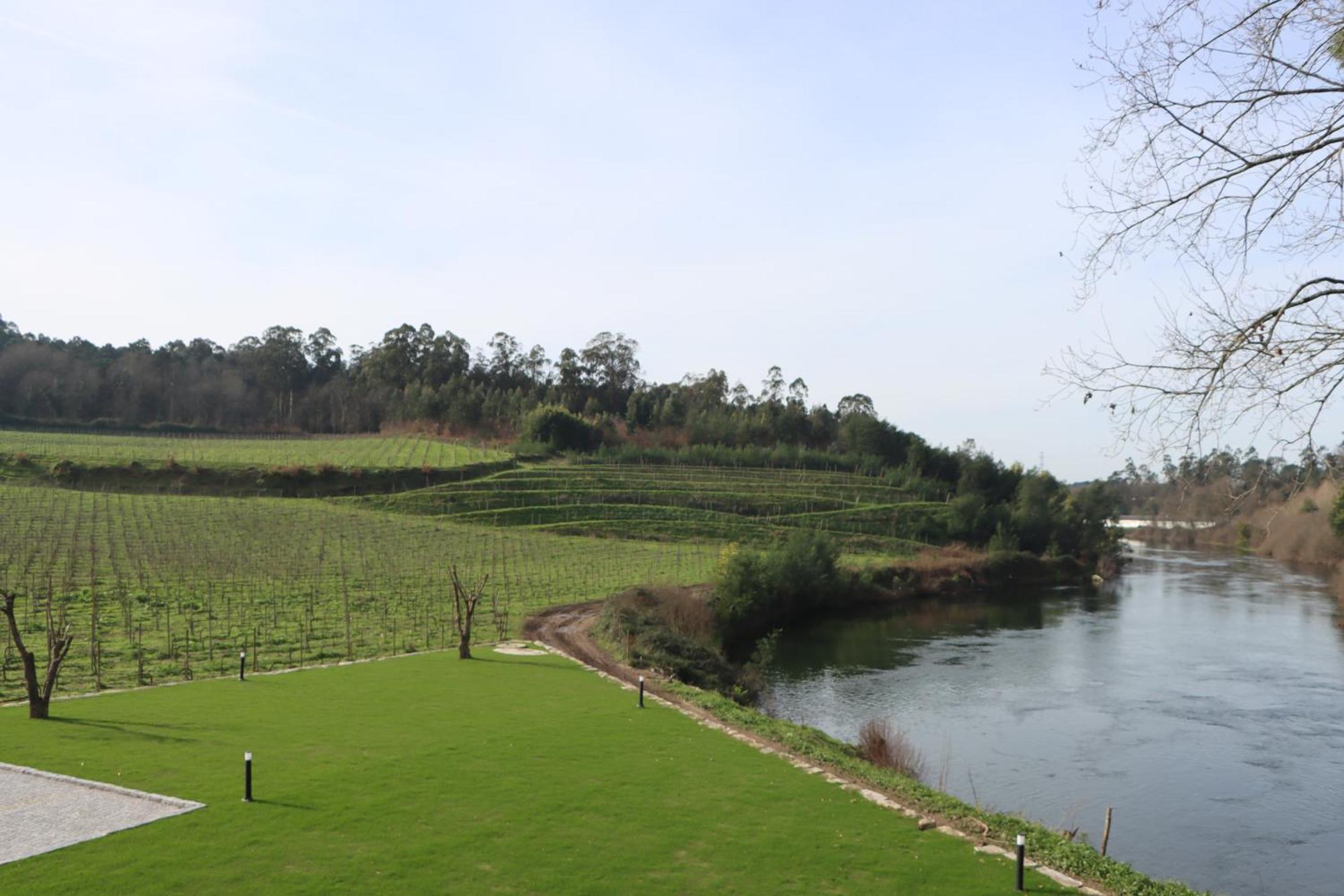 Villa Quinta Das Areias - Solar Da Pena Braga Exterior foto